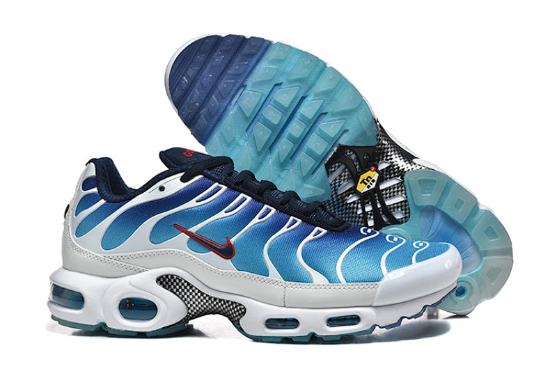 Nike Air Max TN Plus 8909-762EUR — Sneakers Homme Tailles 36-47