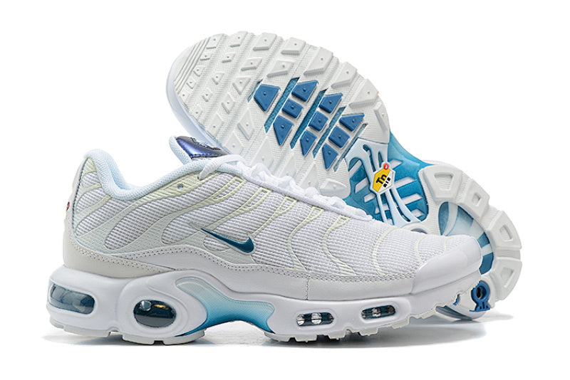 Nike Air Max TN Plus 8909-394 — Sneakers Homme Tailles 36-47