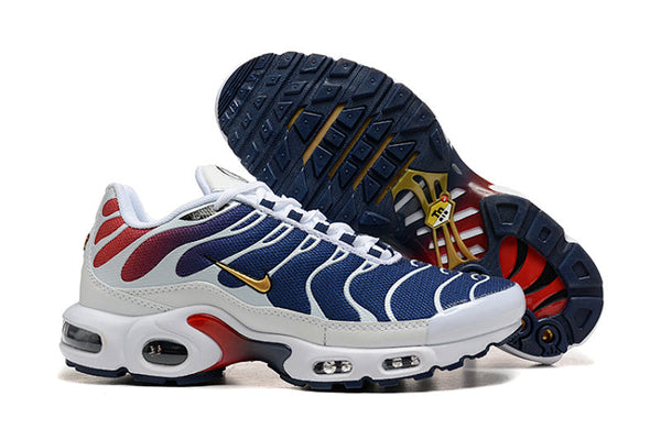 Nike Air Max TN Plus 8909-A160 — Sneakers Homme Tailles 36-47