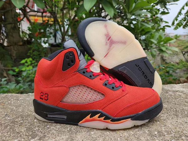 Air Jordan 5 5